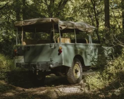 classic vehicle restoration
